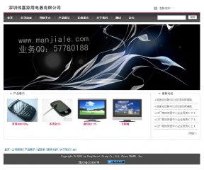 深圳电子公司网站案例